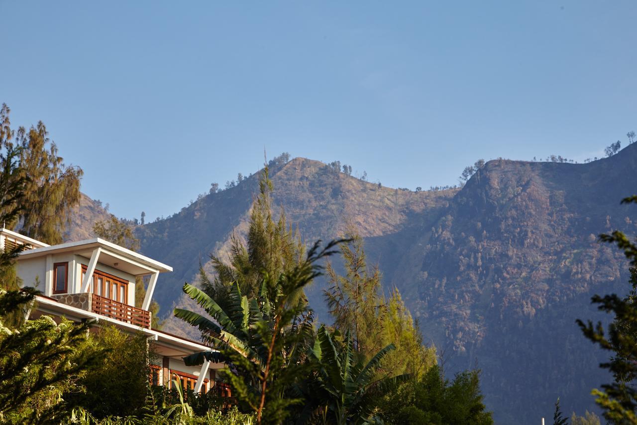 Jiwa Jawa Resort Bromo Eksteriør bilde
