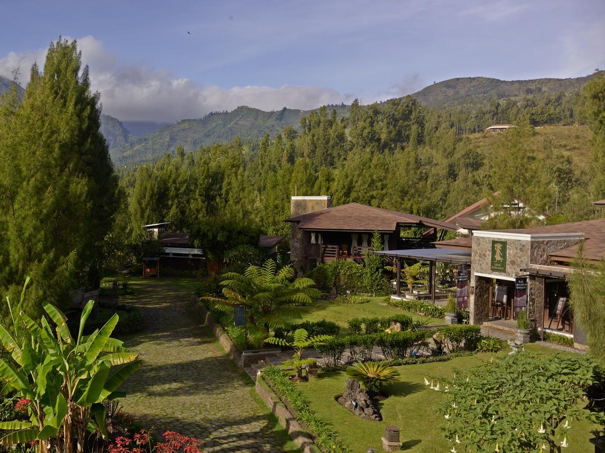 Jiwa Jawa Resort Bromo Eksteriør bilde